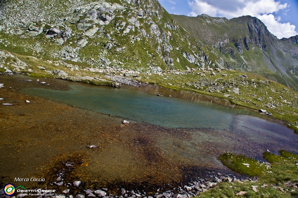 32_Voglia di tuffo.JPG